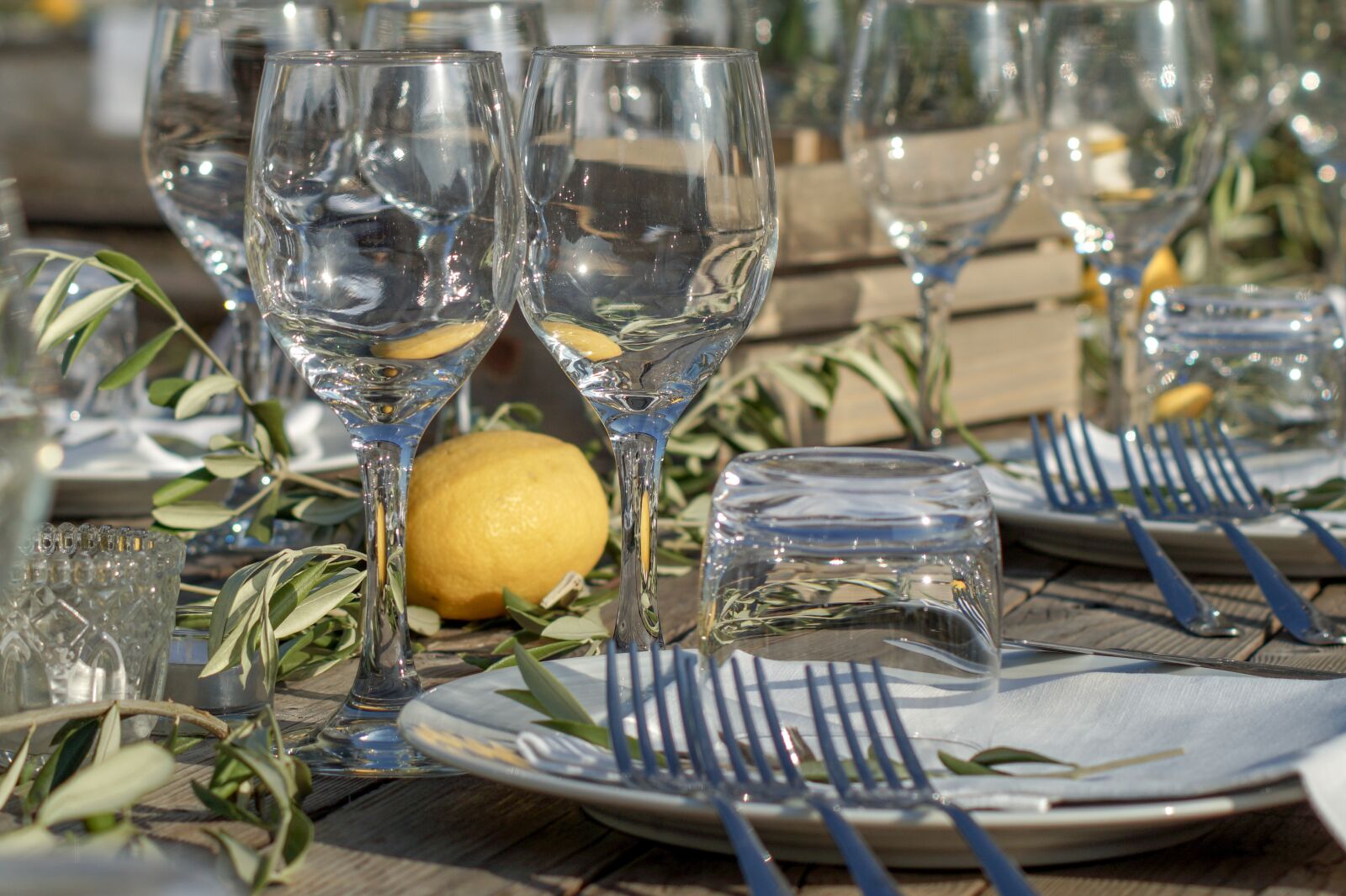 Sony SLT-A58 sample photo. Wedding, lemon, food photography