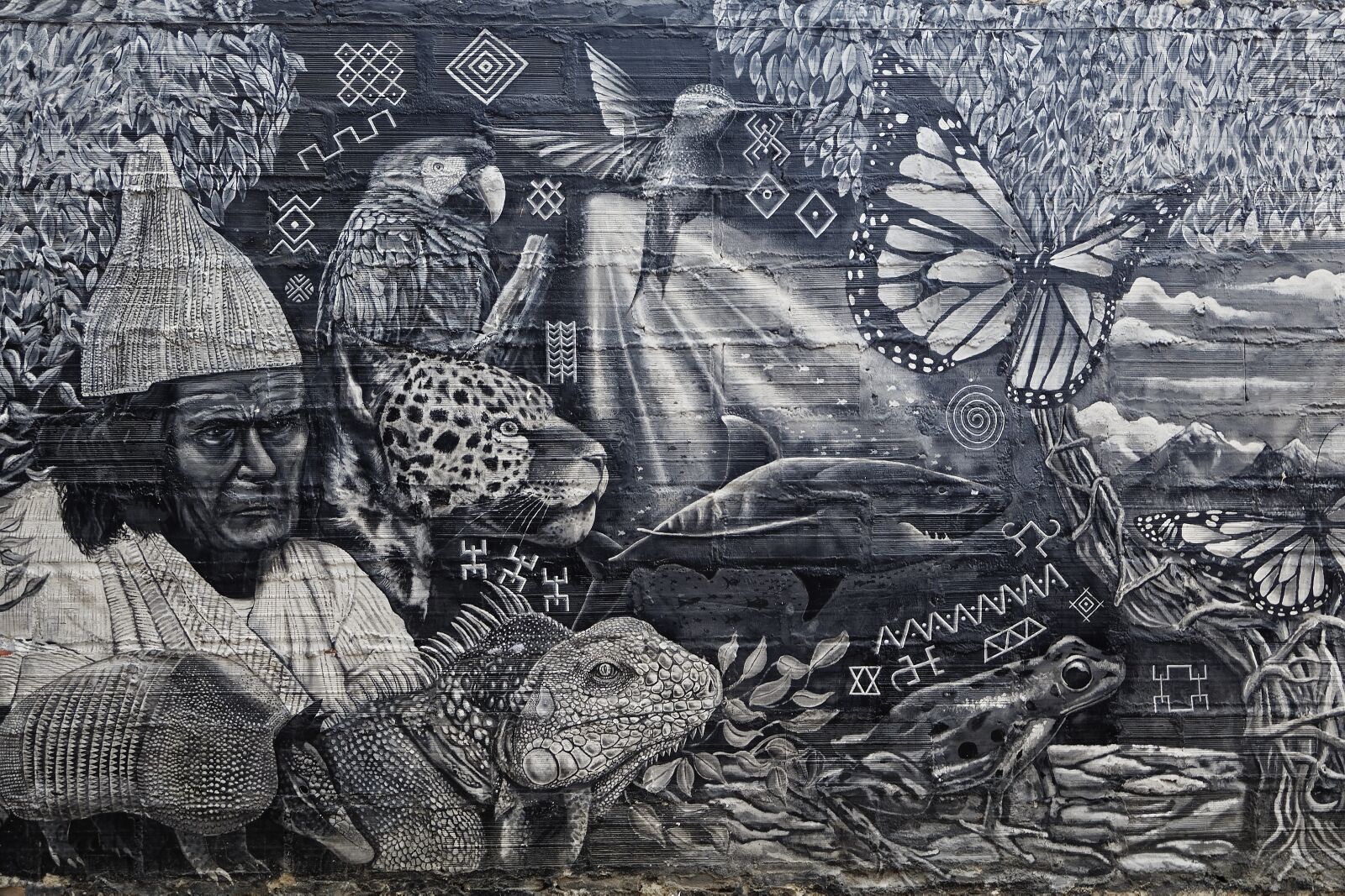 Nikon D500 sample photo. Colombia, santa marta, graffiti photography