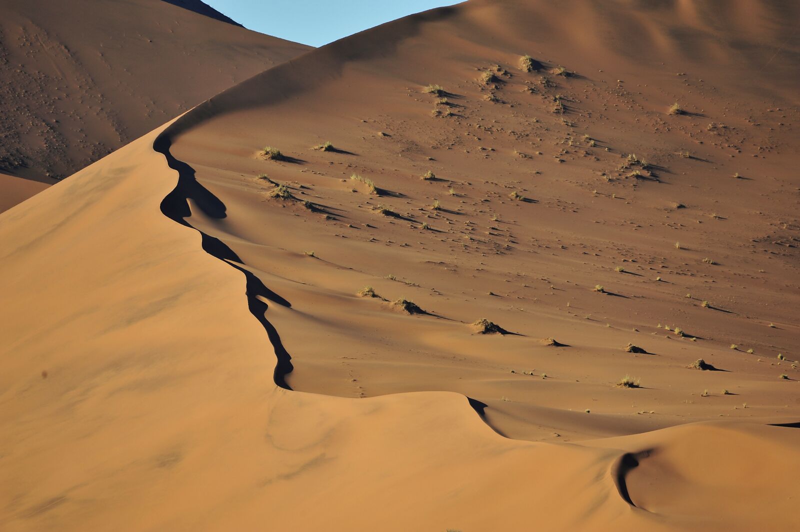 Nikon D700 sample photo. Nabibia, desert, nabib photography
