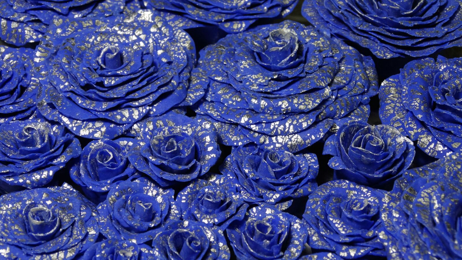 Sony Cyber-shot DSC-HX300 sample photo. Rose, blue, flower photography