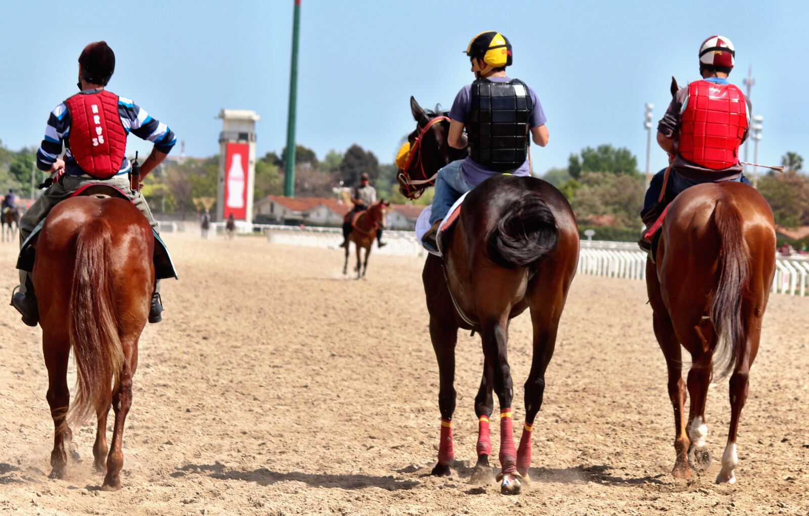 Canon EOS 100D (EOS Rebel SL1 / EOS Kiss X7) + Canon EF-S 55-250mm F4-5.6 IS II sample photo. Horse racing, horses, thoroughbred photography