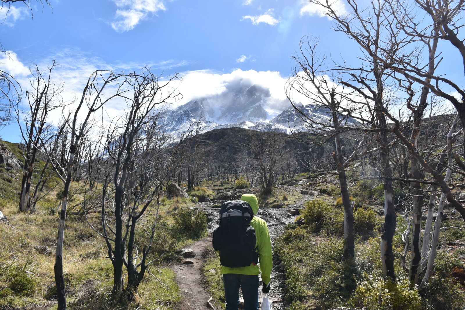 Nikon D5500 sample photo. Patagonia, torres del paine photography
