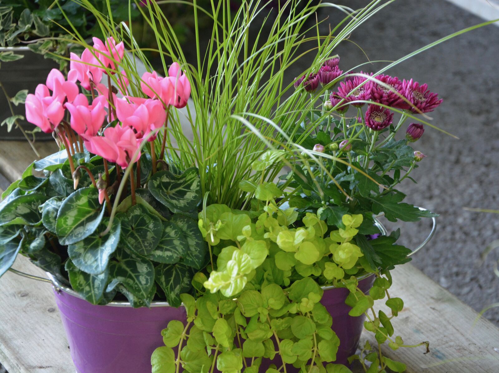 Nikon D5200 sample photo. Flowers, plants, floral composition photography