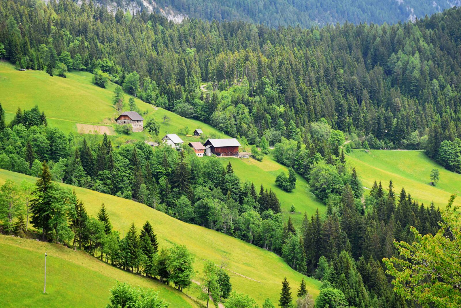 Nikon D5500 sample photo. Alpine, alps, trees photography
