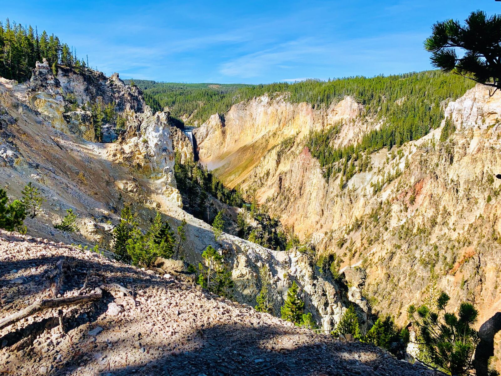 Apple iPhone XS sample photo. Yellowstone, park, nature photography