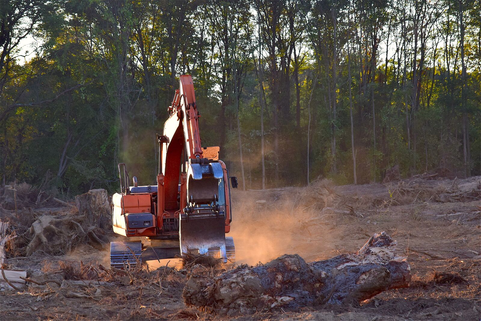 Nikon D3300 sample photo. Deforestation, machine, truck photography