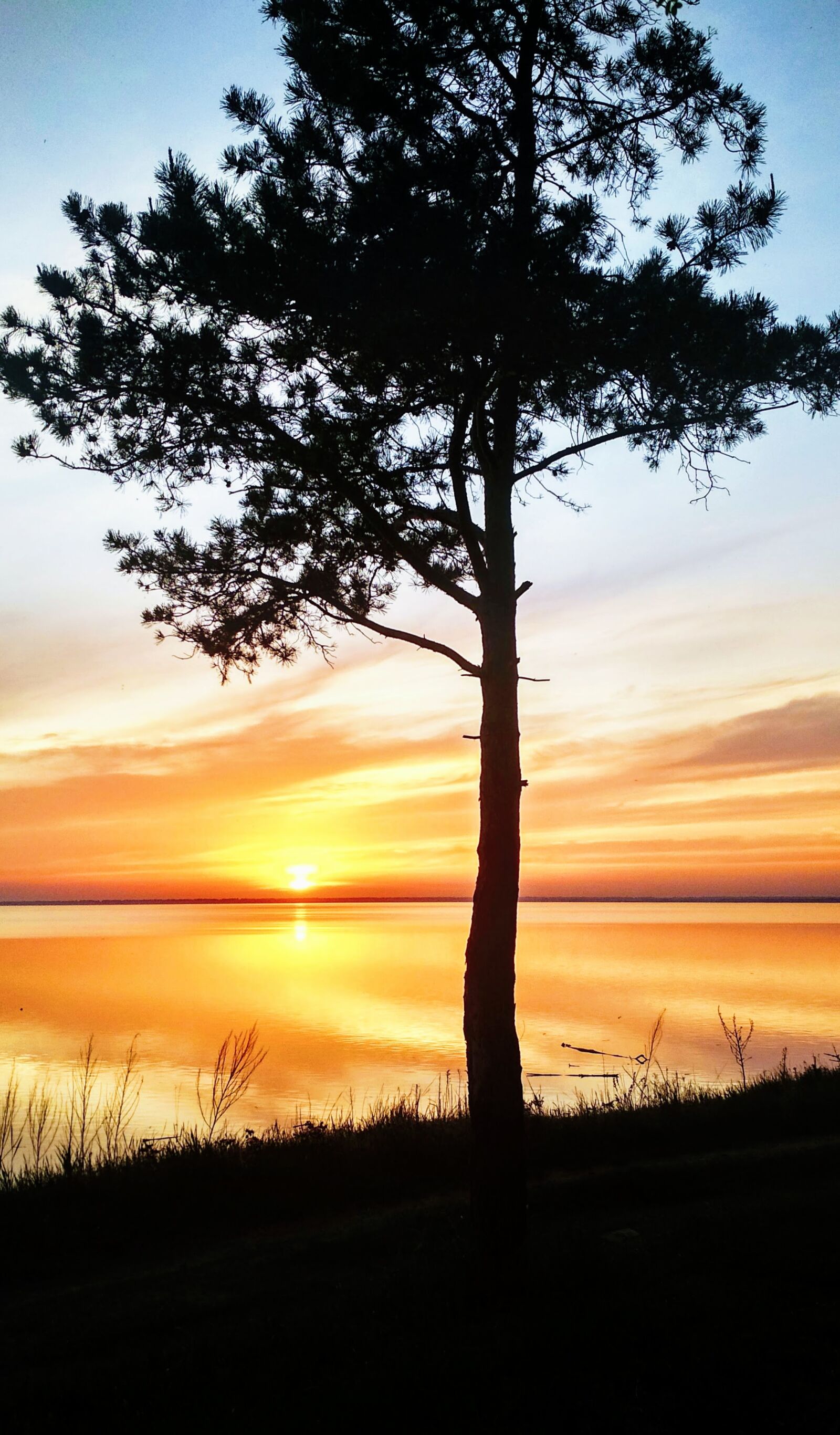 Xiaomi Redmi 4X sample photo. Orange, sunset, landscape photography