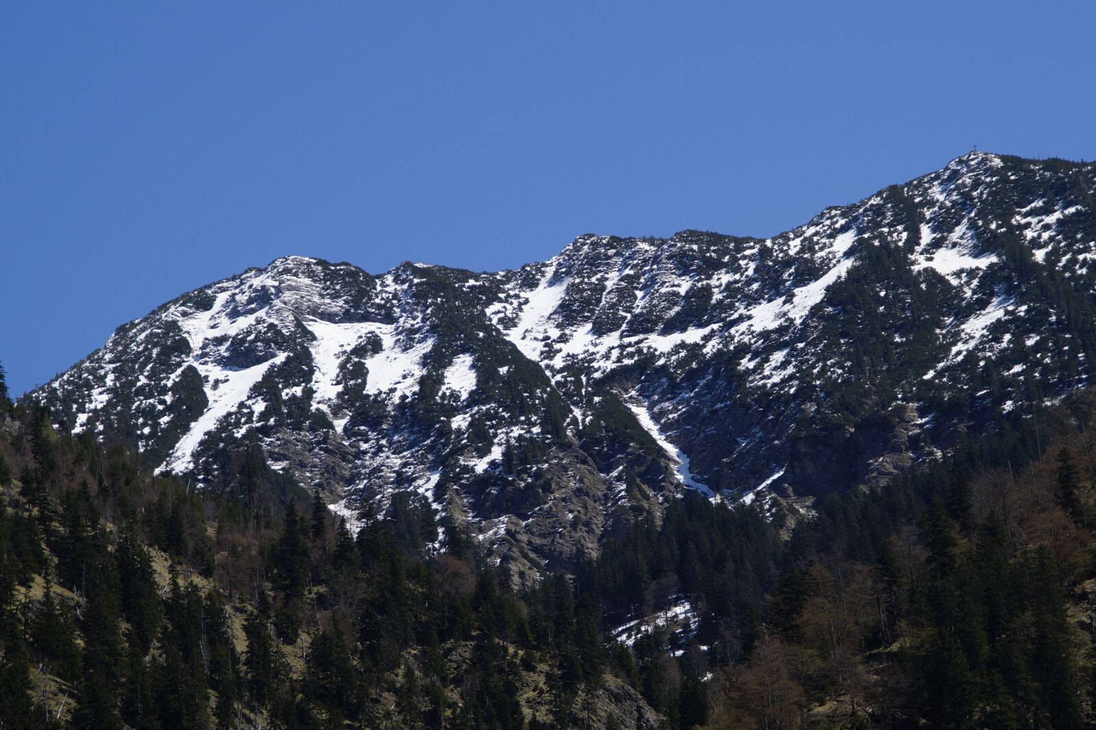 Sony SLT-A58 sample photo. Mountain, spring, alpine photography