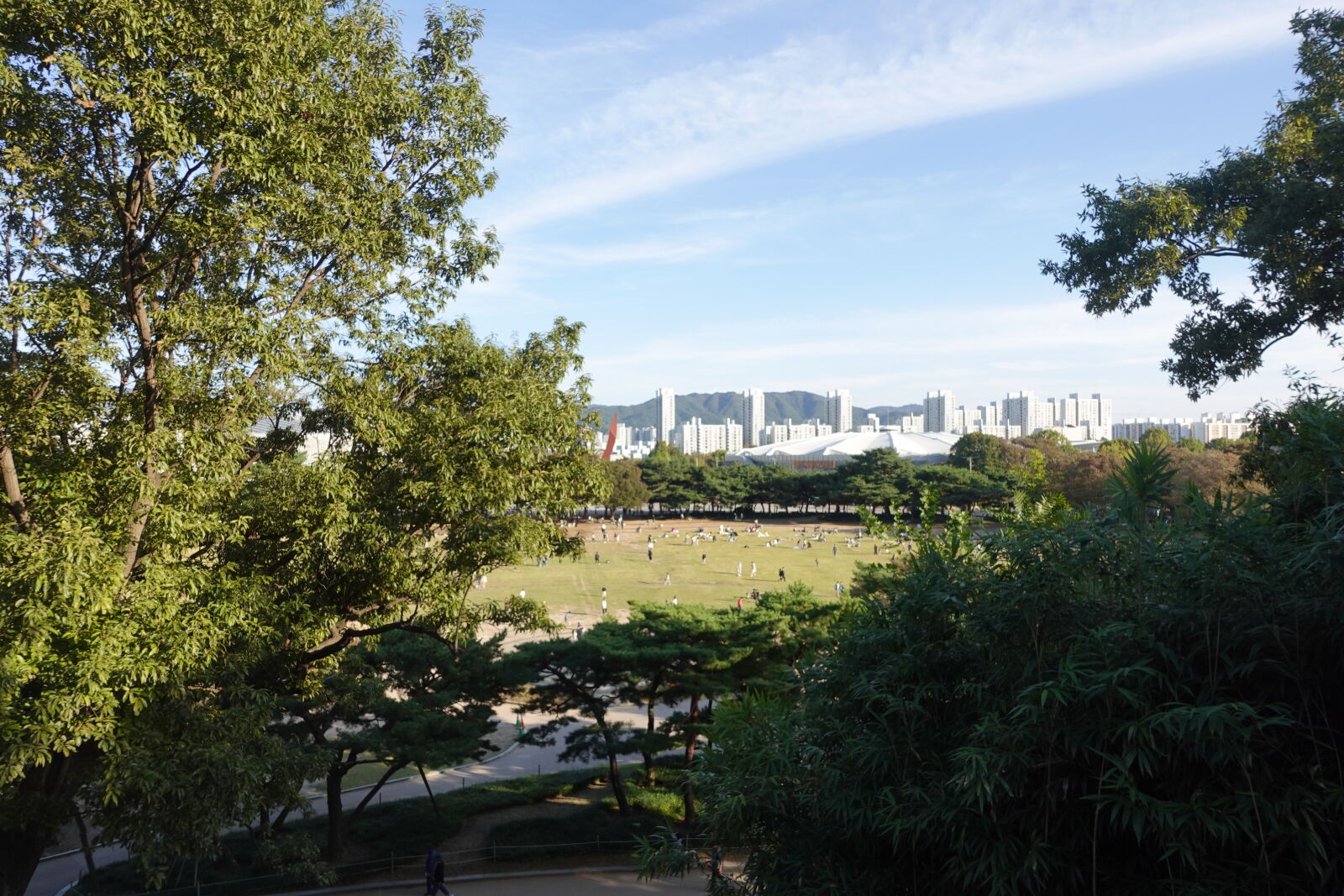 Sony ZV-1 sample photo