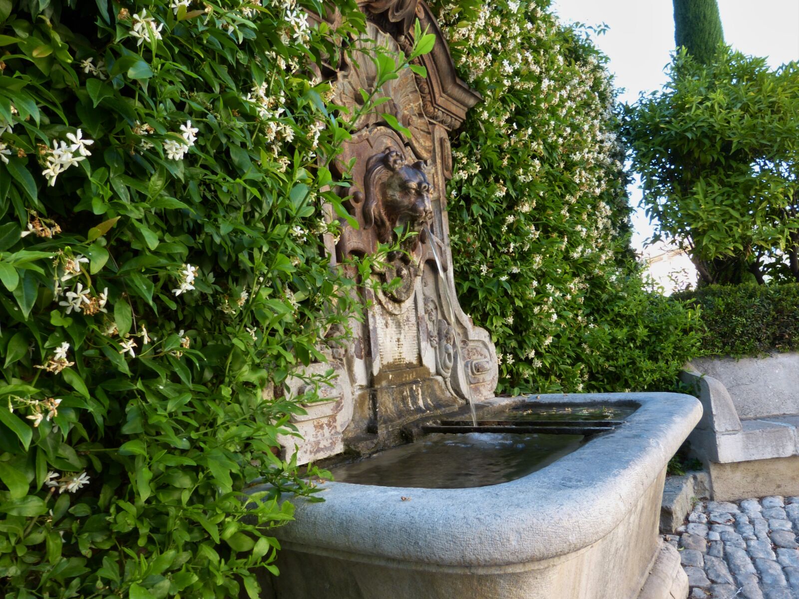 Panasonic Lumix DMC-FZ150 sample photo. Fountain, france, jasmine, lion photography