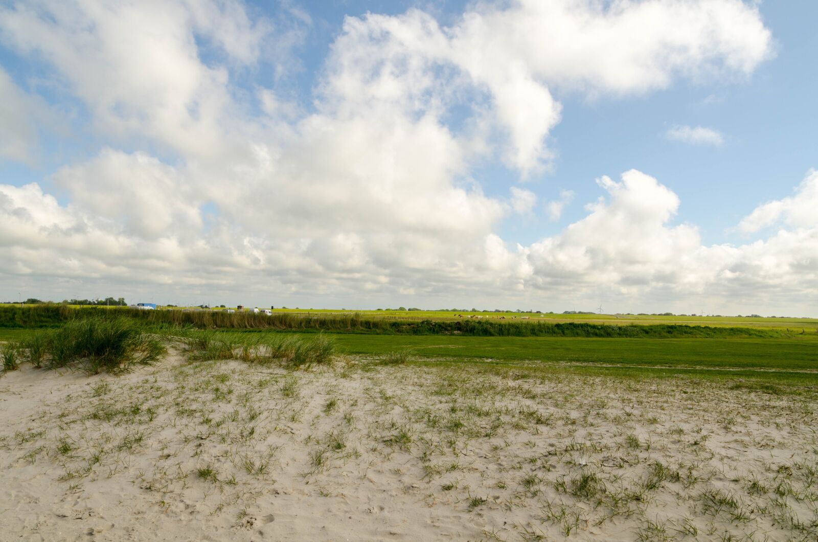 Nikon D7000 sample photo. Beach, sea, north sea photography