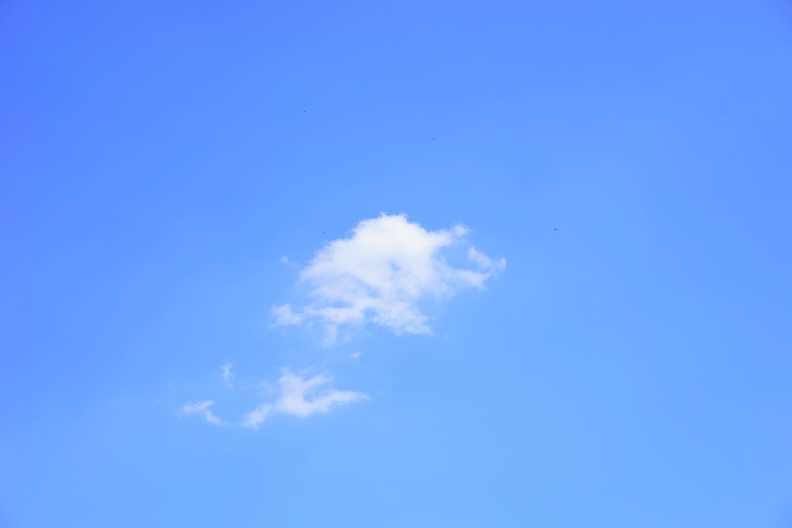 Sony a7 + Sony Sonnar T* FE 55mm F1.8 ZA sample photo. Clouds, cumulus, cumulus clouds photography