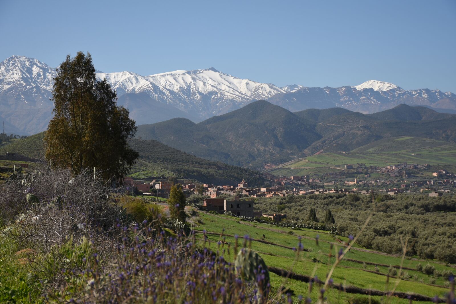 Nikon D7200 sample photo. Snow mountains, nature, landscape photography