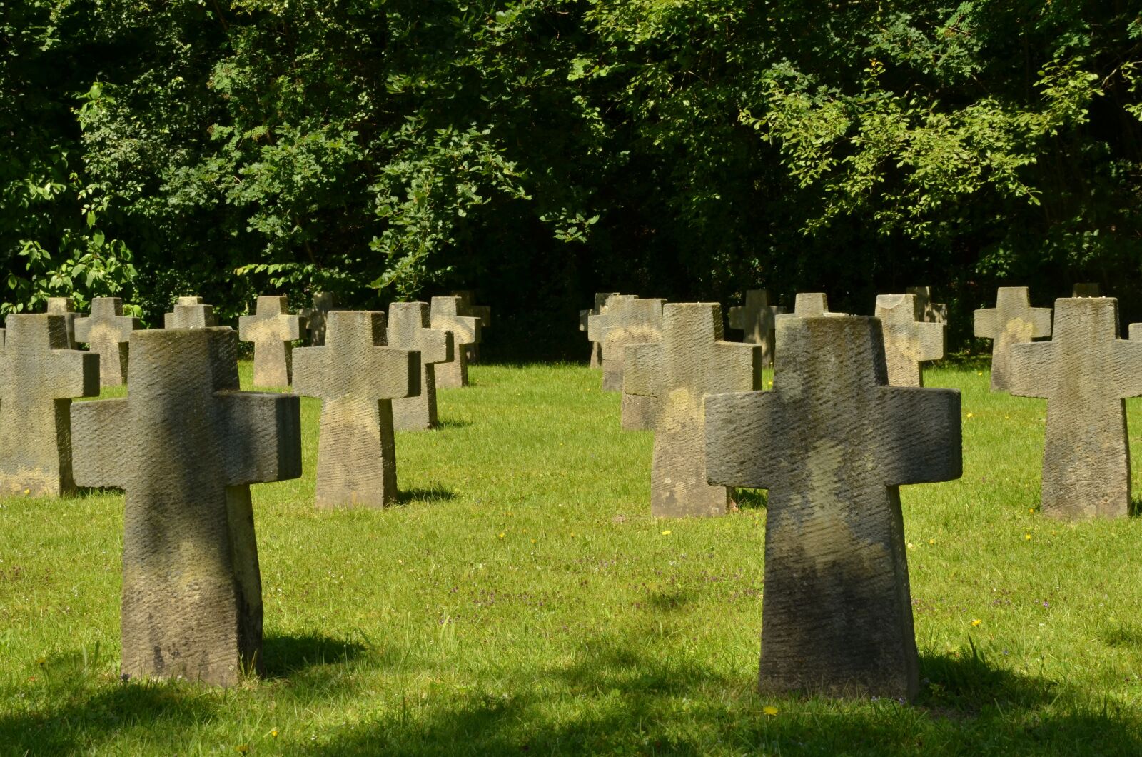 Nikon D7000 sample photo. War, second world war photography