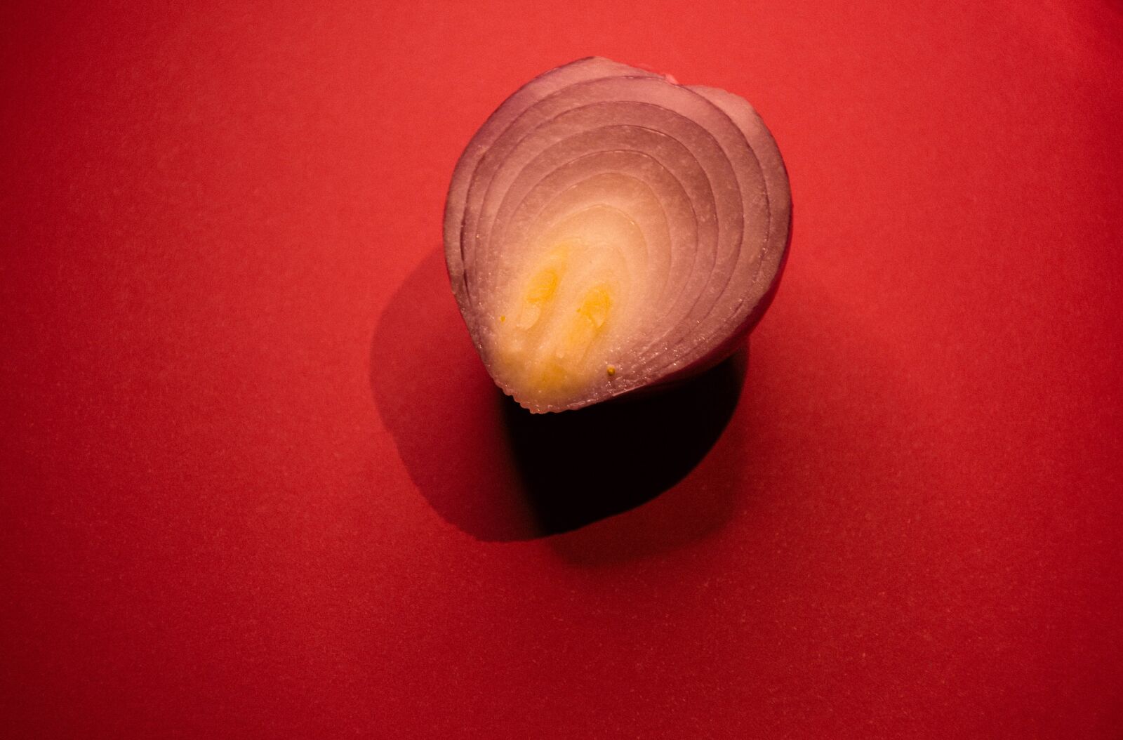 Nikon D7200 sample photo. Onion, kitchen, cooking photography