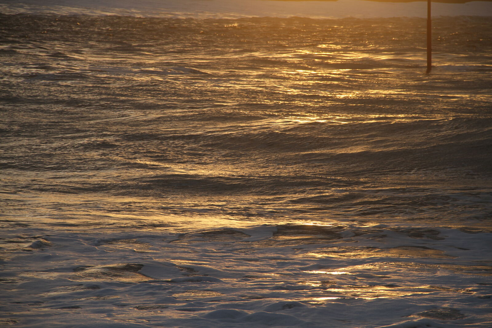 Canon EOS 7D sample photo