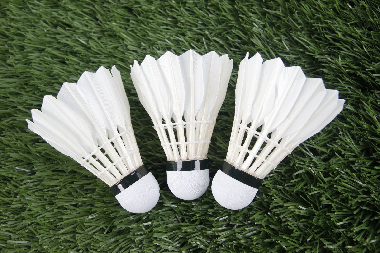Canon EOS 550D (EOS Rebel T2i / EOS Kiss X4) sample photo. Badminton, sport, shuttlecock photography