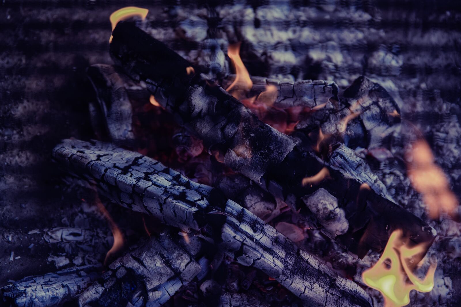 Canon EF 24-70mm F2.8L II USM sample photo. Embers, barbecue, fire photography