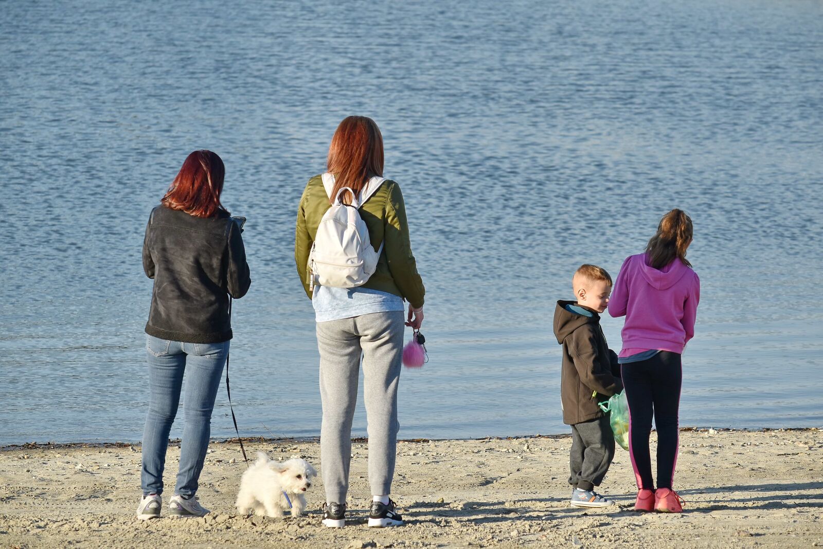 Nikon D5500 sample photo. Childhood, children, dog, family photography