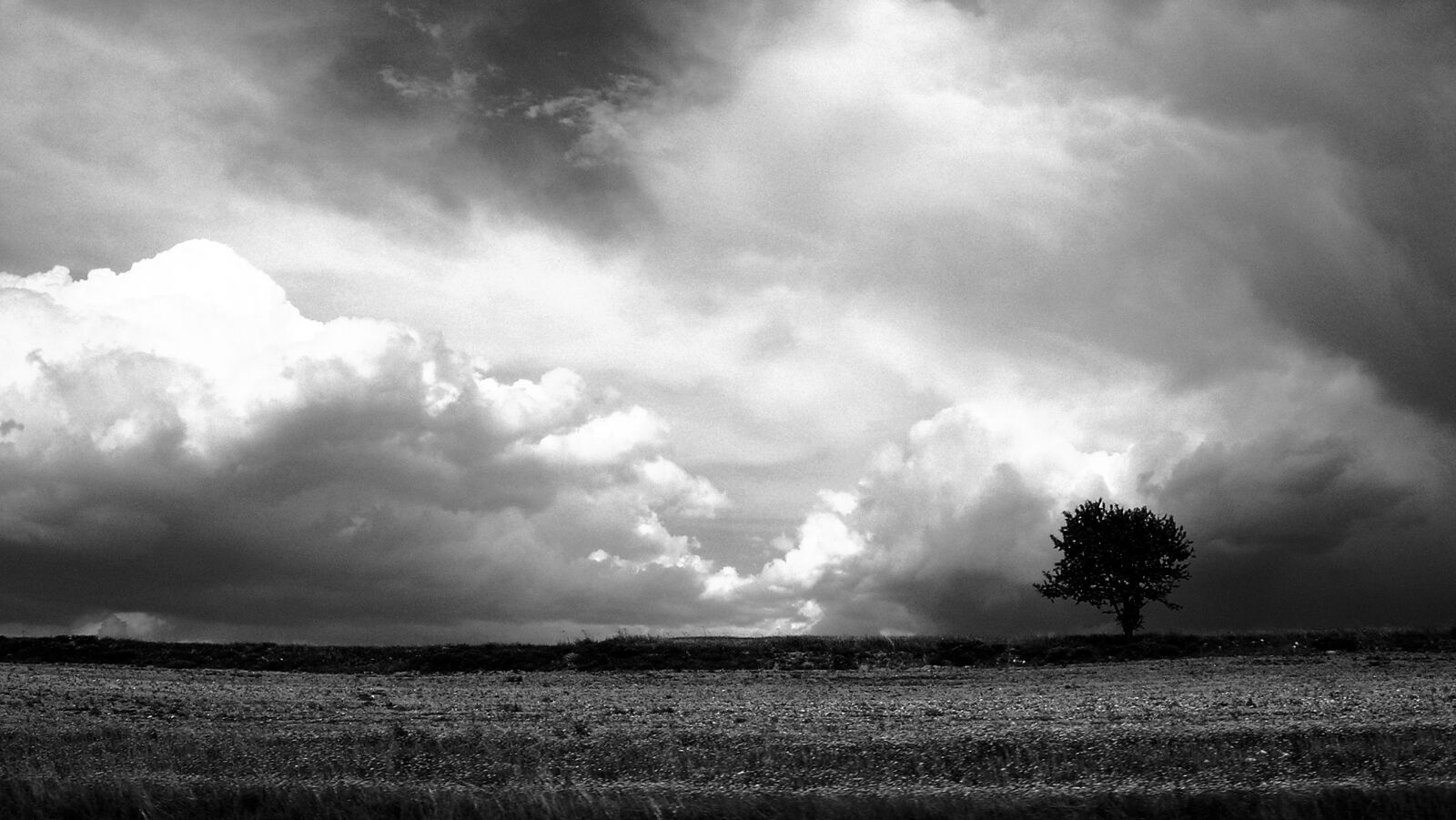 Nikon E5900 sample photo. Landscape, tree, nature photography