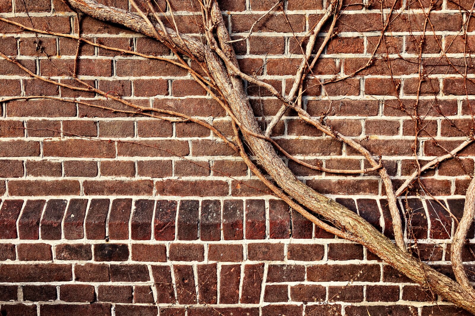 Sony Cyber-shot DSC-RX100 sample photo. Wall, brick wall, brown photography