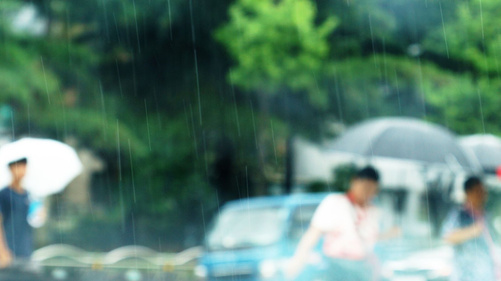 Sony SLT-A77 + Sony DT 16-50mm F2.8 SSM sample photo. Rain, landscape, non photography