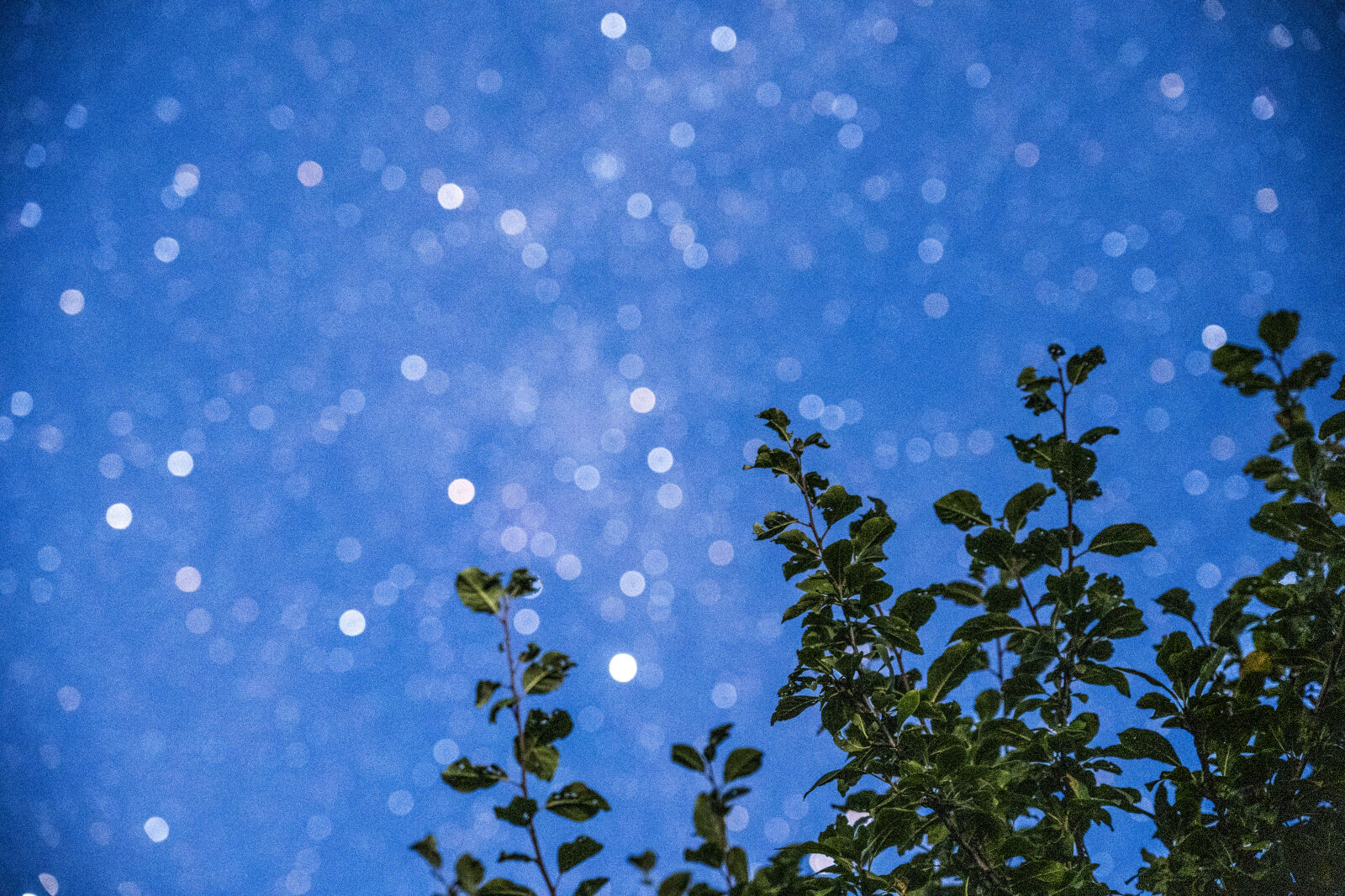 Sony a7 III + Sony FE 24-105mm F4 G OSS sample photo