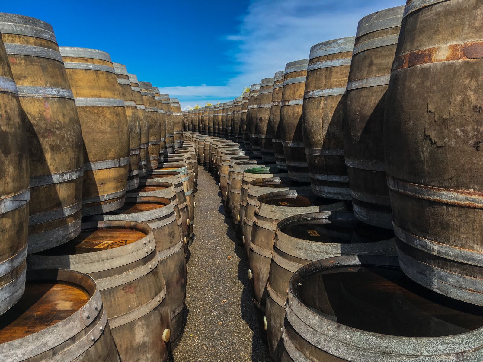 Apple iPhone SE sample photo. Barrels, wine, winery photography