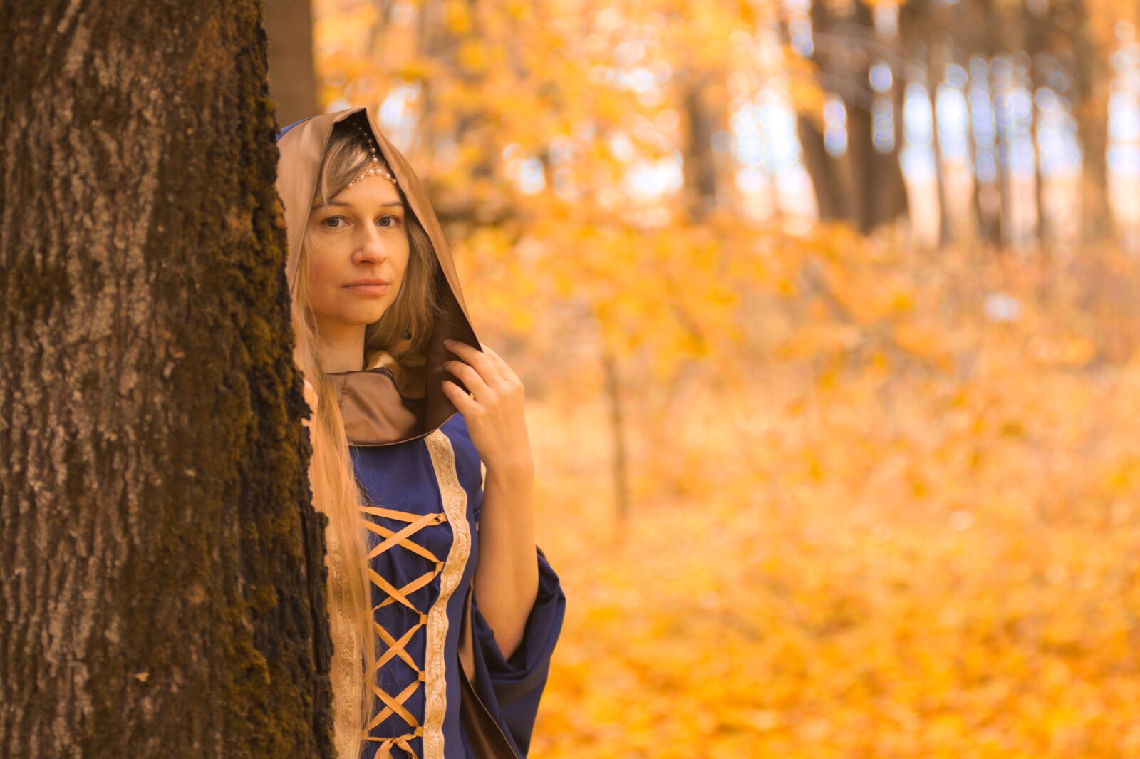 Nikon D7100 sample photo. The middle ages, autumn photography