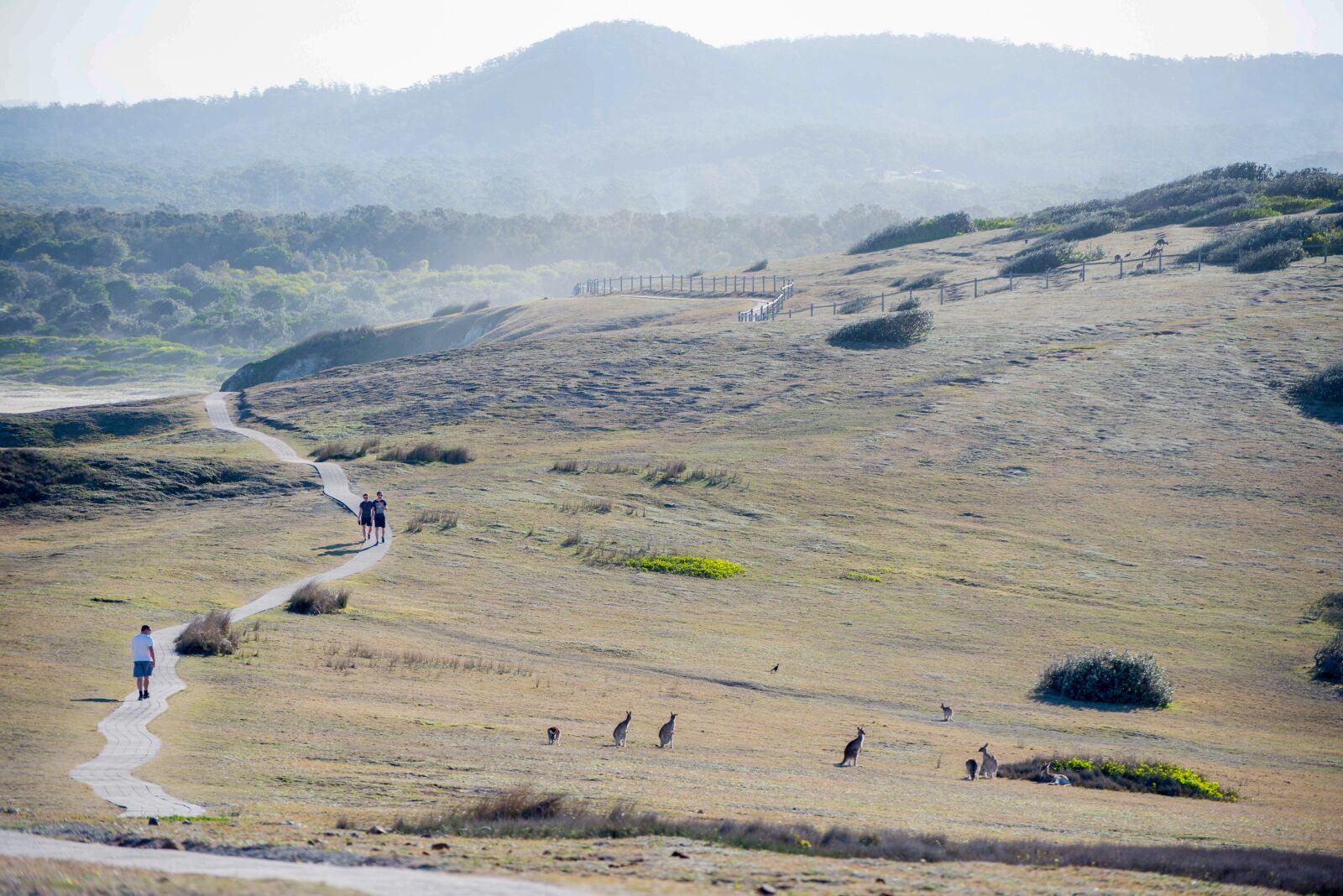 Nikon D600 sample photo. Walk, path, hill photography