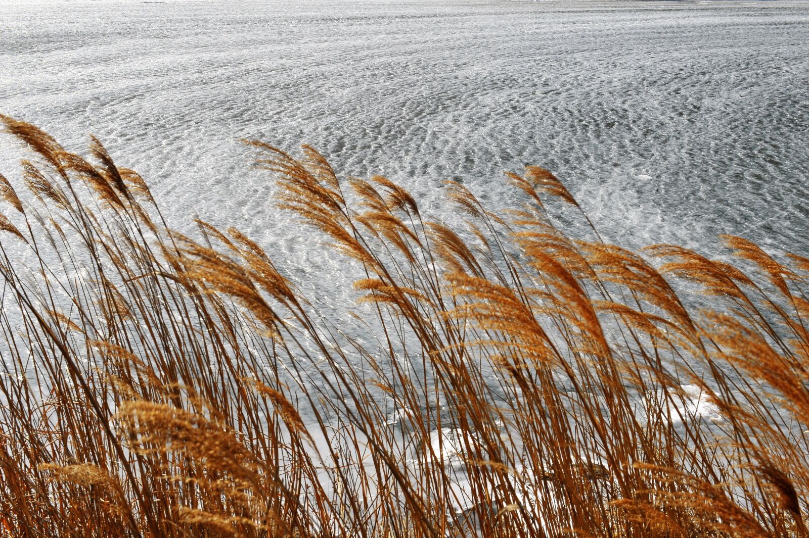 Nikon D3S sample photo. Seomjin, the frozen wave photography