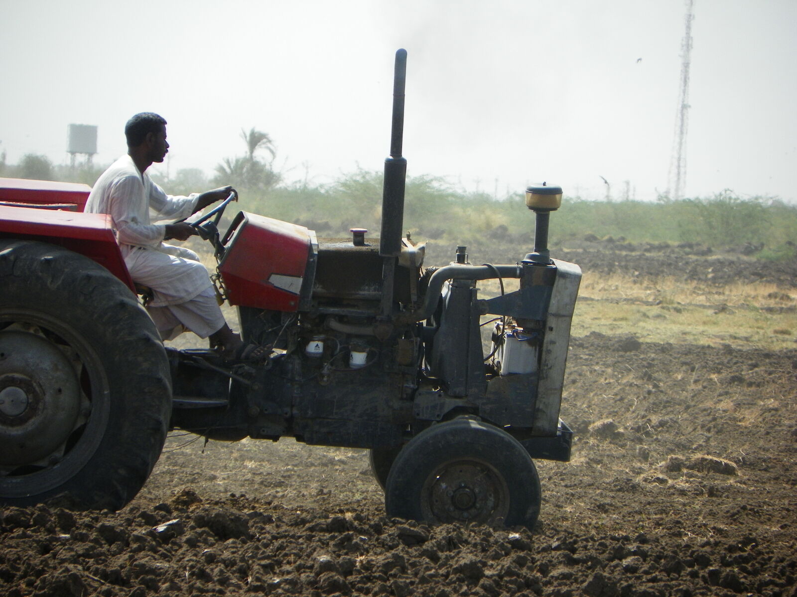 Kodak EasyShare Z981 sample photo. Our, agriculture photography