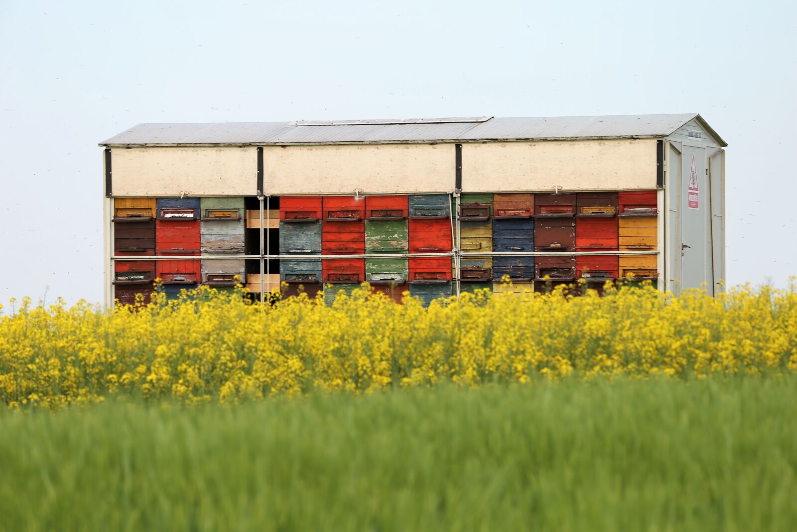 Canon EF 70-300 F4-5.6 IS II USM sample photo. Bees pasture, beehive, honey photography
