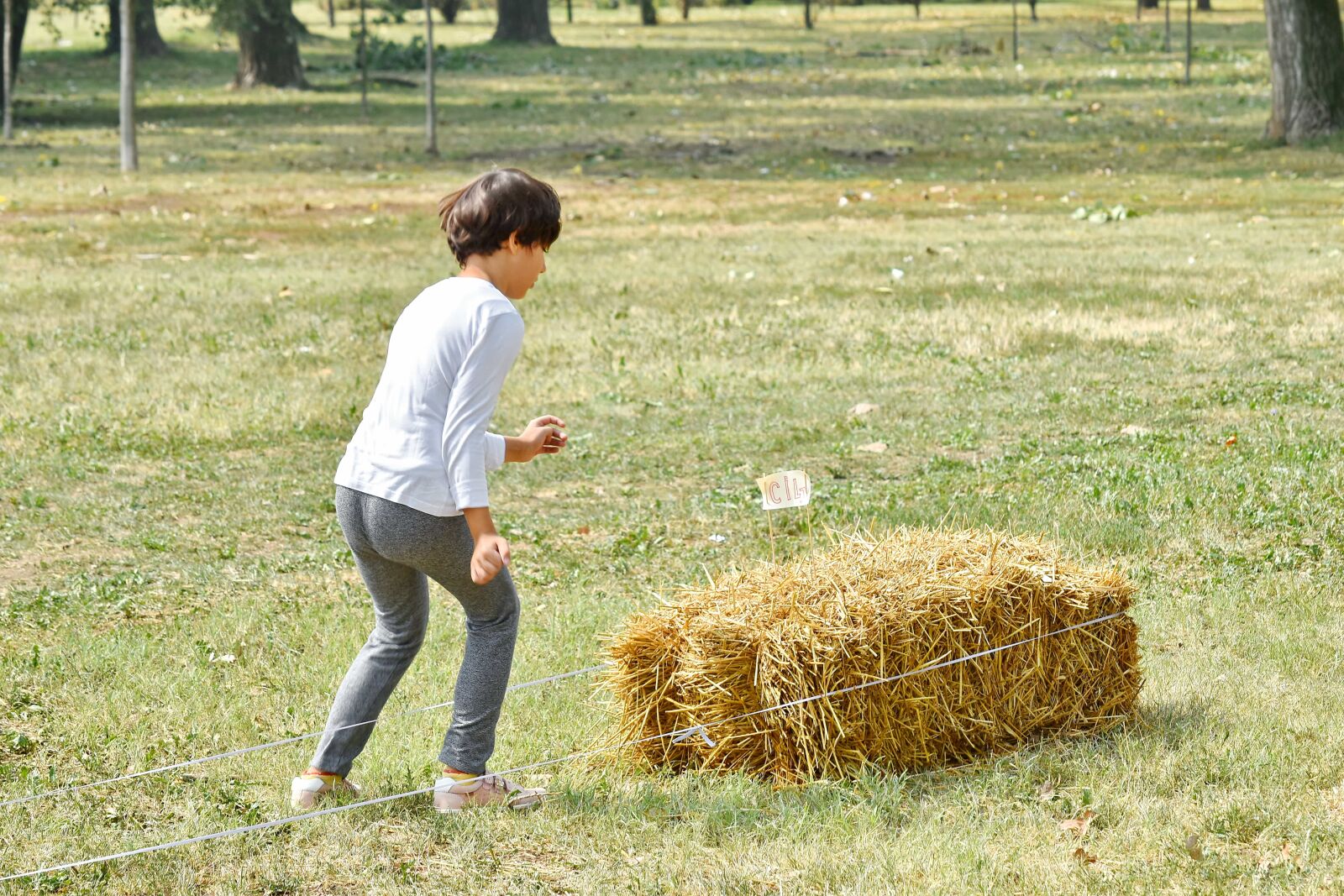 Nikon D5500 sample photo. Countryside, exercise, physical activity photography