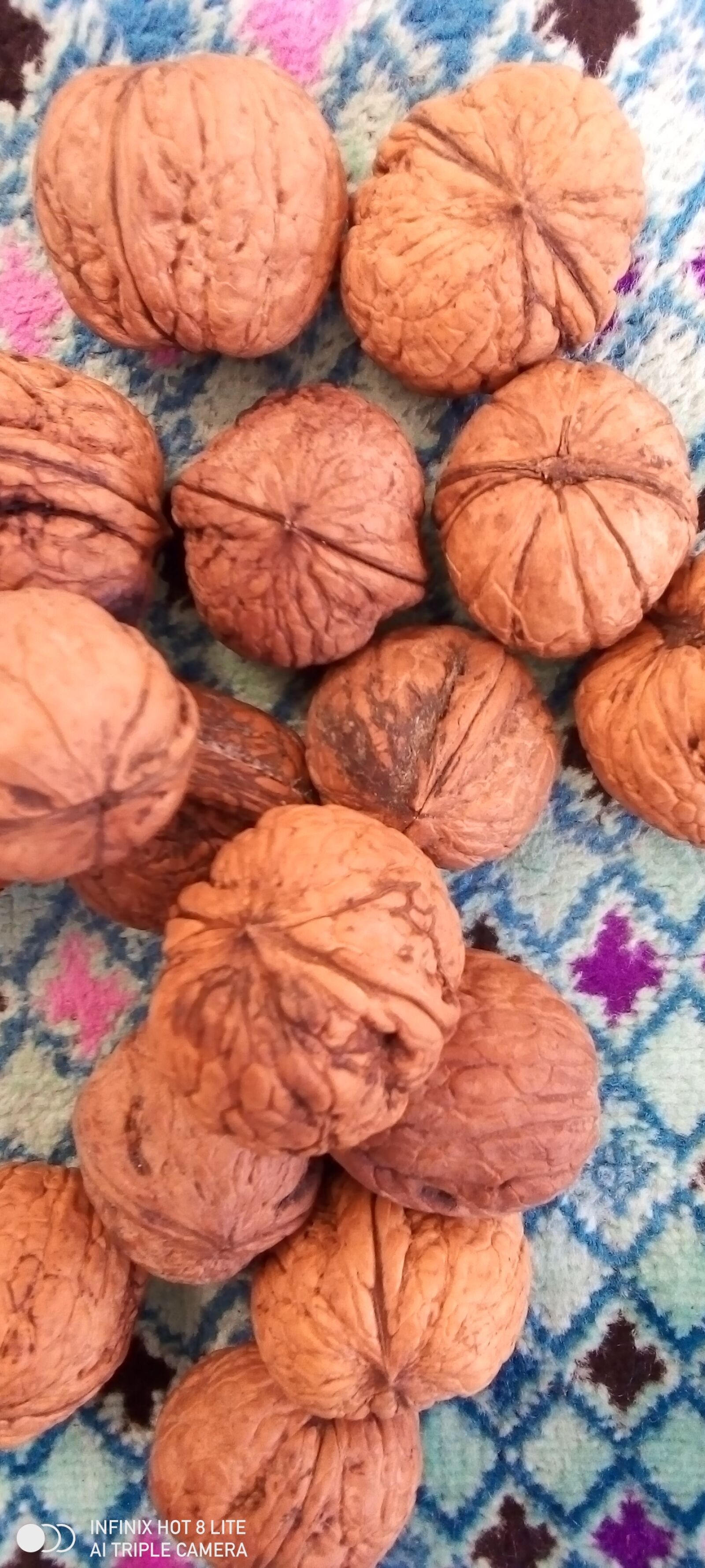 INFINIX MOBILITY LIMITED Infinix X650 sample photo. Walnut, nut, dry fruit photography