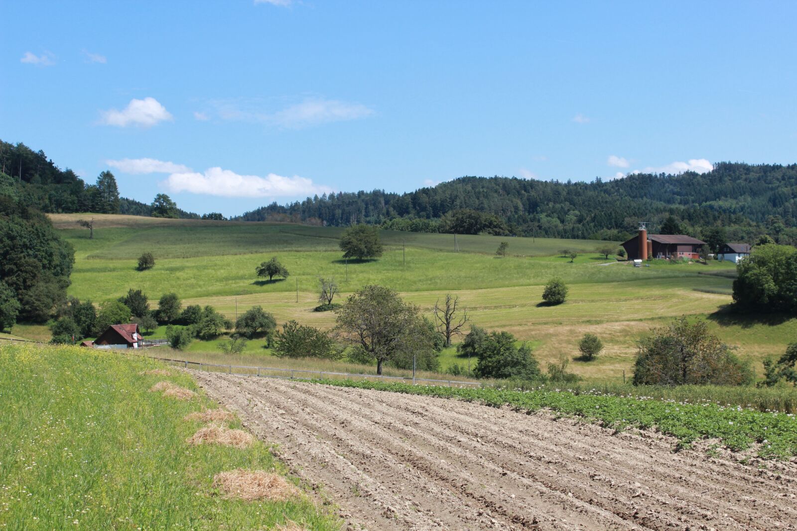 Canon EOS 600D (Rebel EOS T3i / EOS Kiss X5) sample photo. Agriculture, landscape, field photography