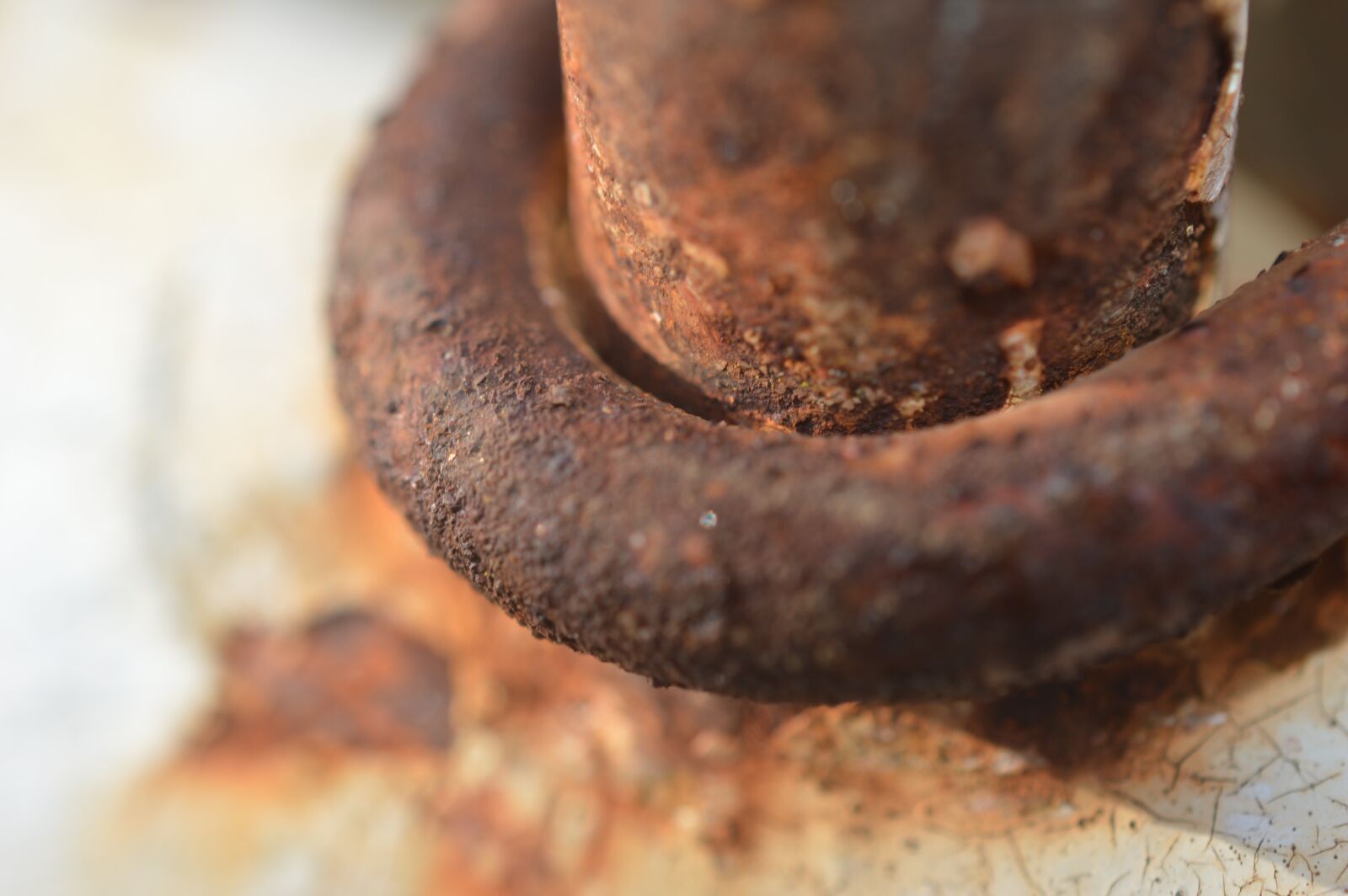 Nikon D3200 sample photo. Rust, metal, rusted photography