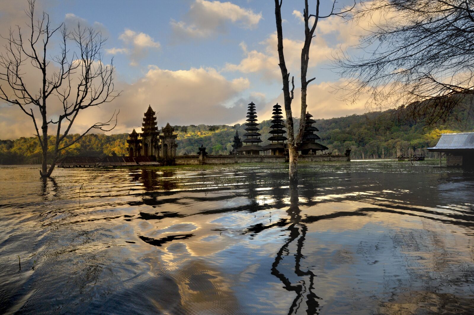 Nikon D90 sample photo. Water, tree, mood photography