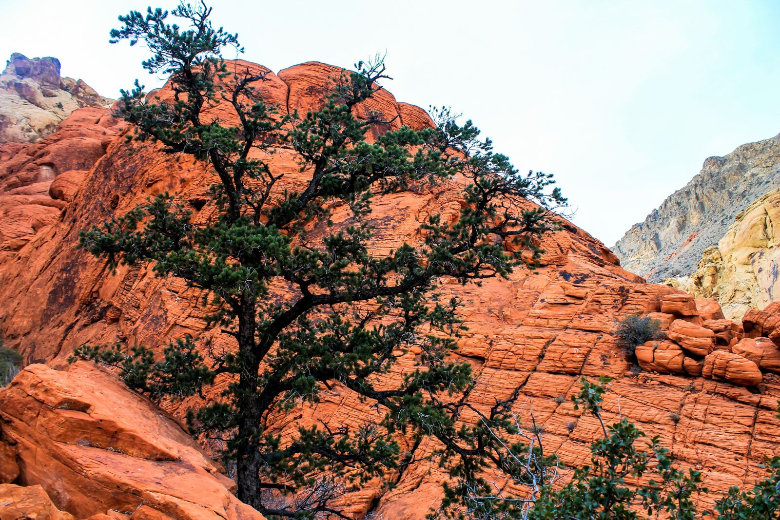 Canon EOS 1100D (EOS Rebel T3 / EOS Kiss X50) sample photo. Utah, red rocks, red photography