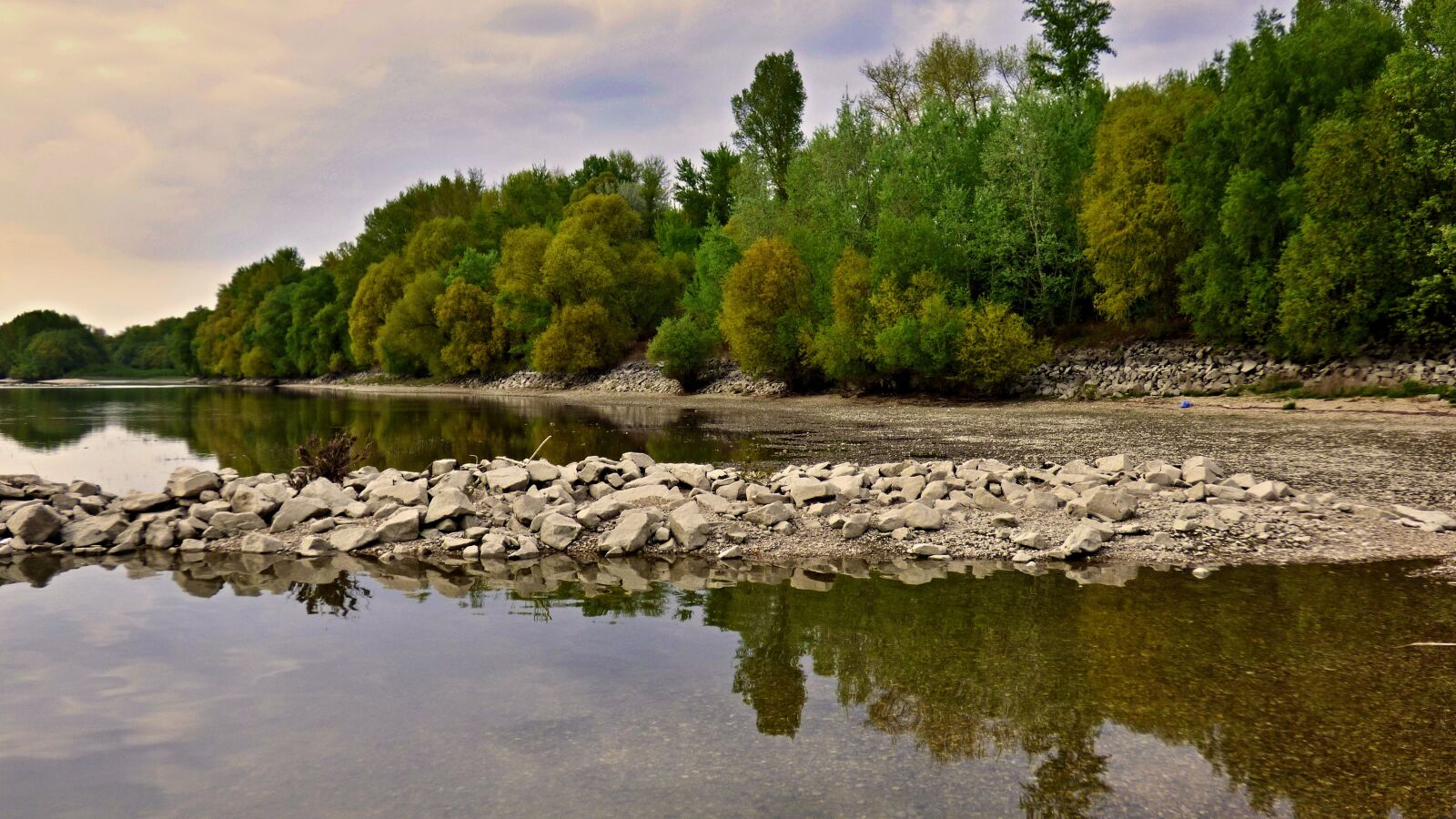 Panasonic DMC-FZ72 sample photo. Danube, rock, tree photography