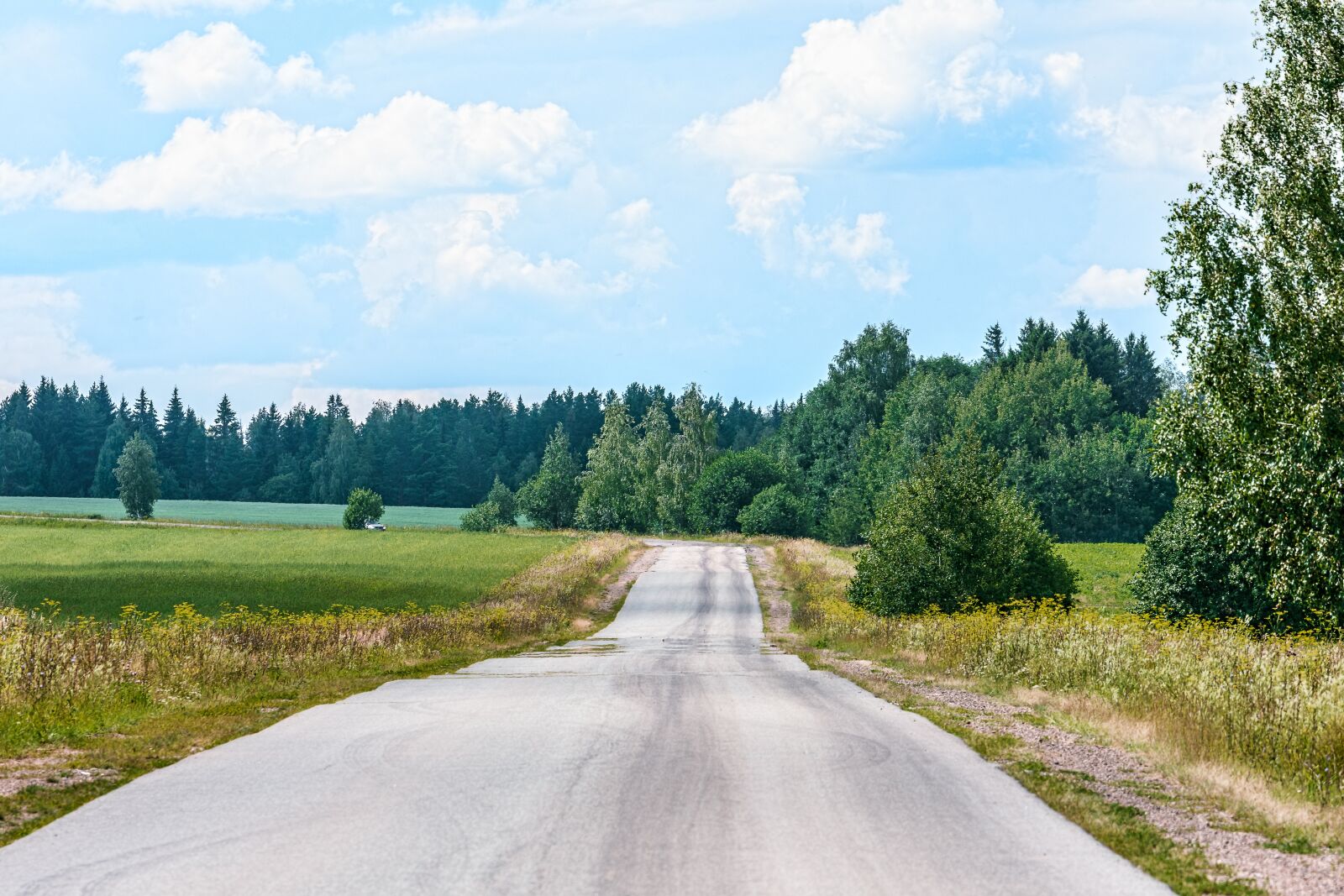 Nikon D7200 sample photo. Landscape, road, field photography