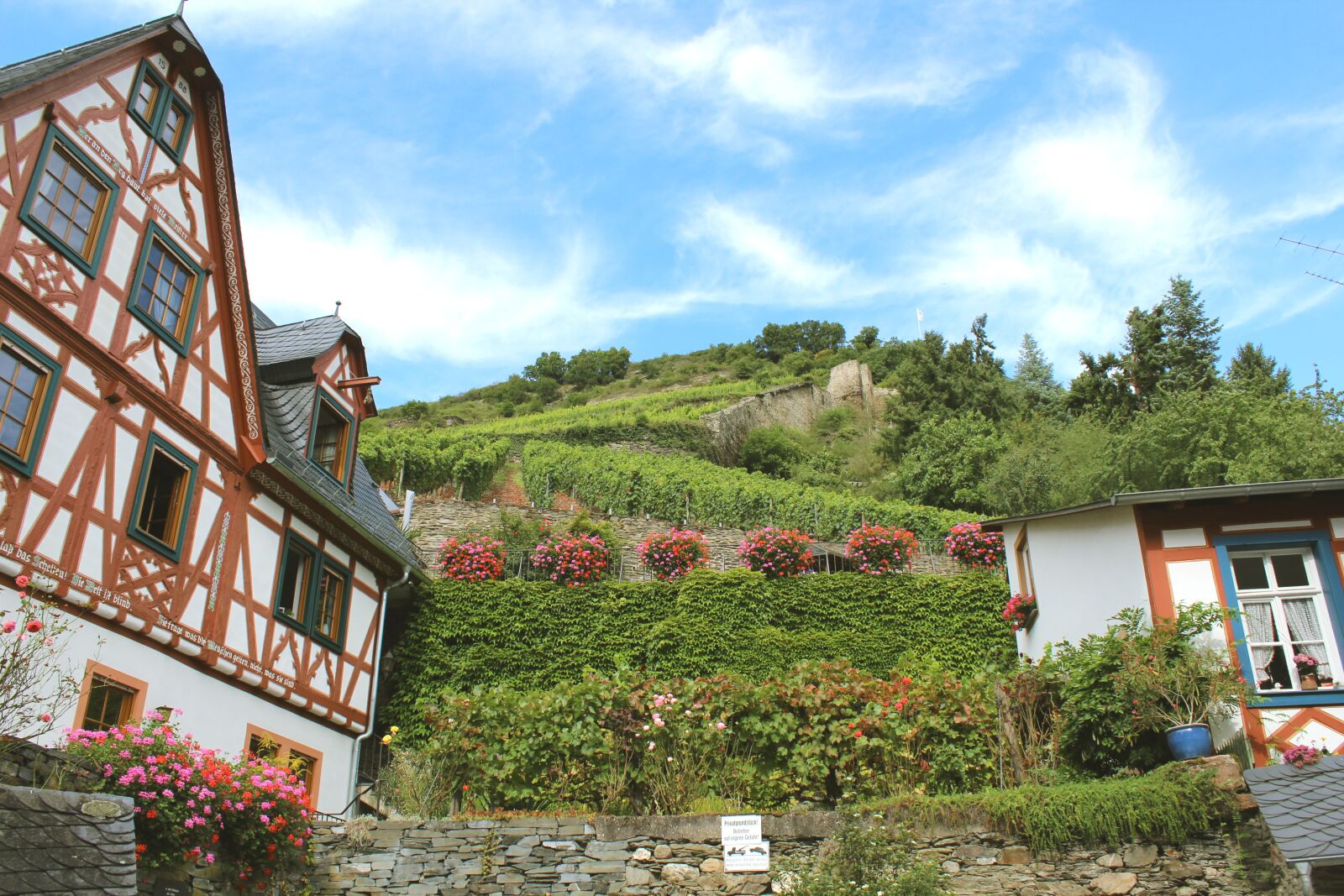 Canon EOS 600D (Rebel EOS T3i / EOS Kiss X5) sample photo. Bacharach, vineyard, fachwerkhaus photography