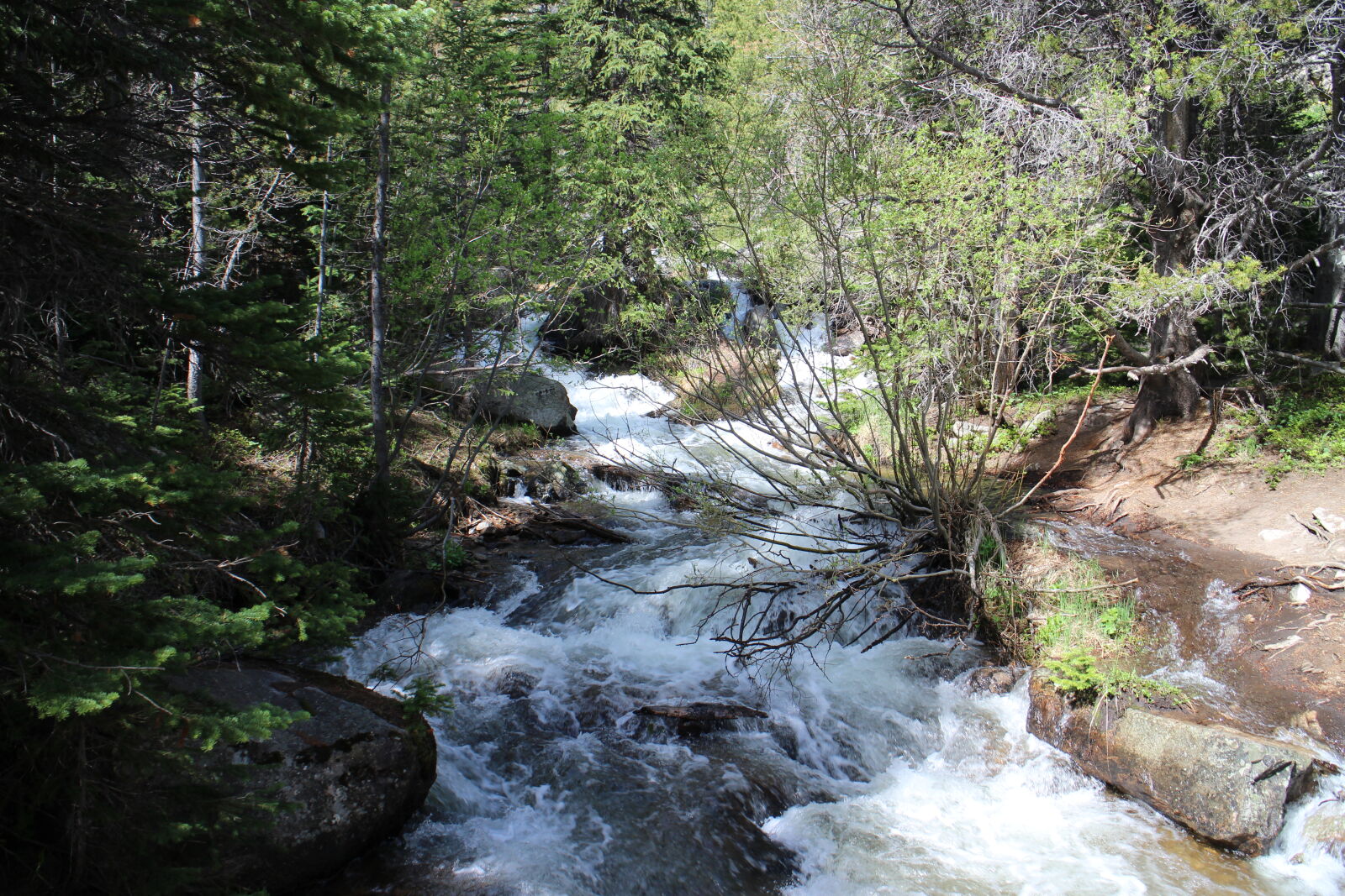 Canon EOS M sample photo. Colorado, rocky, mountain, stream photography