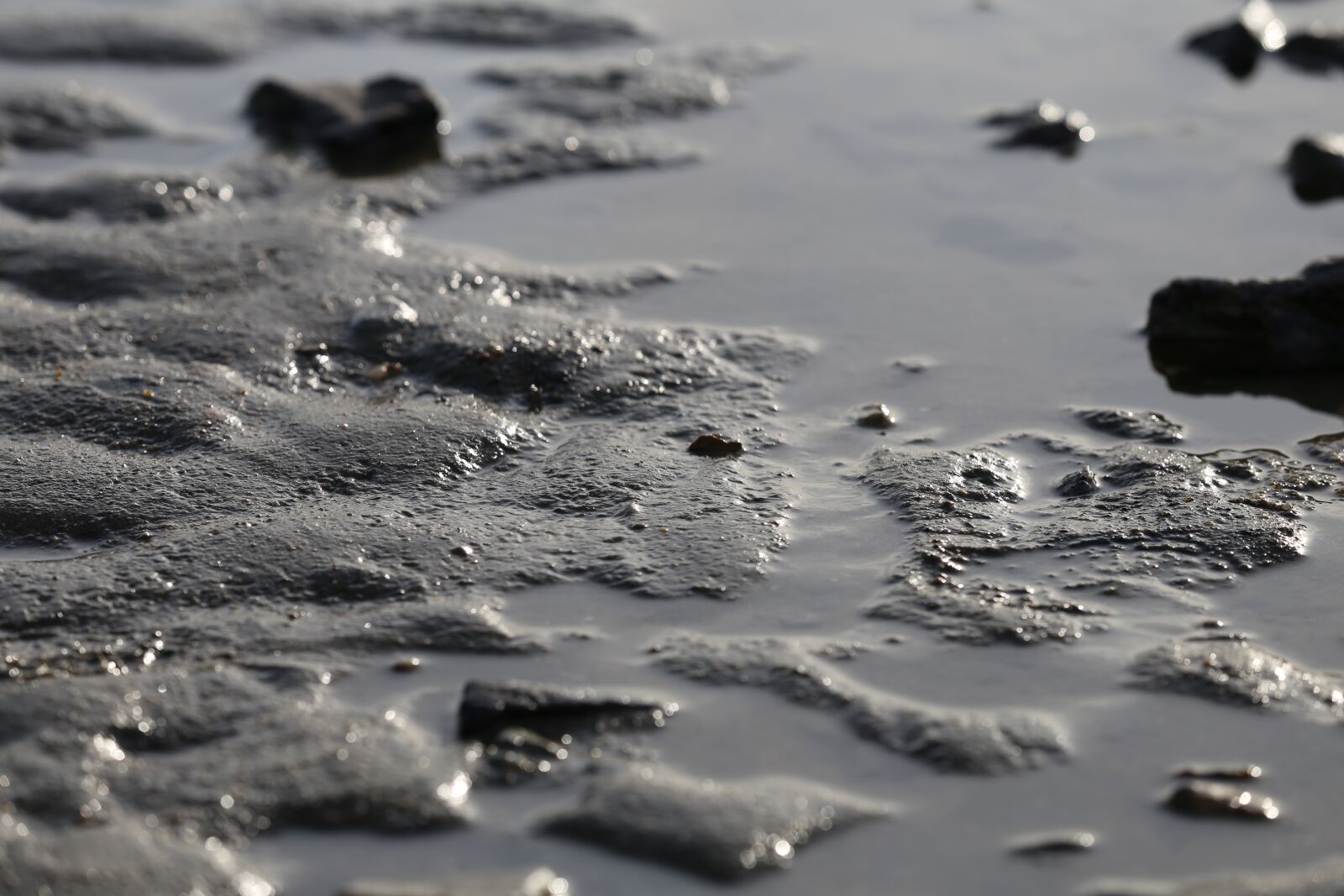 Canon EOS 6D sample photo. Tidal, ganghwado, travel photography