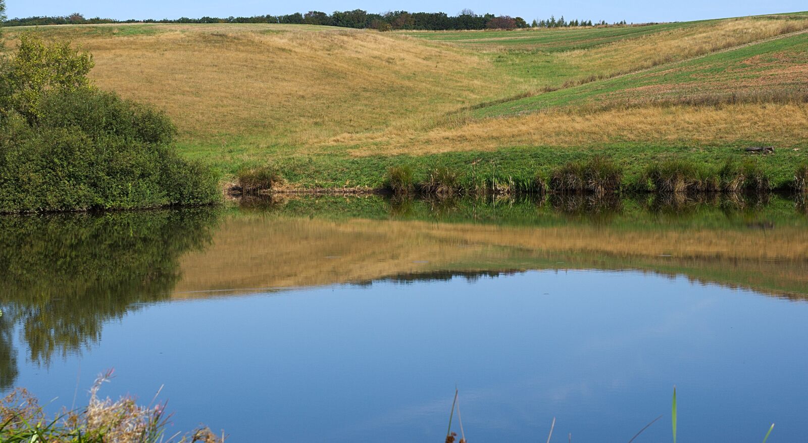 Nikon D7200 sample photo. Pond, water, nature photography