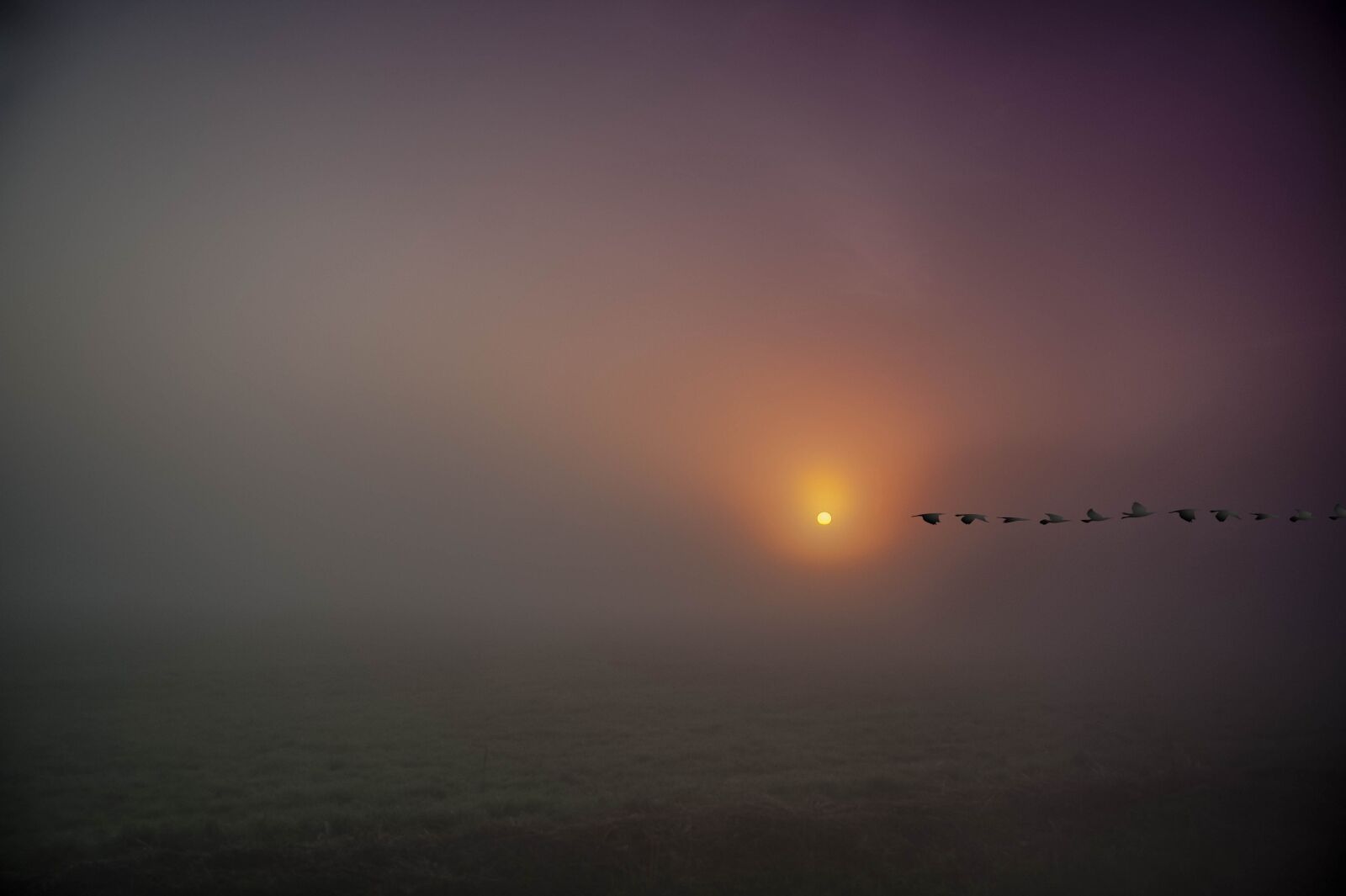 Tamron AF 28-75mm F2.8 XR Di LD Aspherical (IF) sample photo. Sunrise, fog morning dawn photography