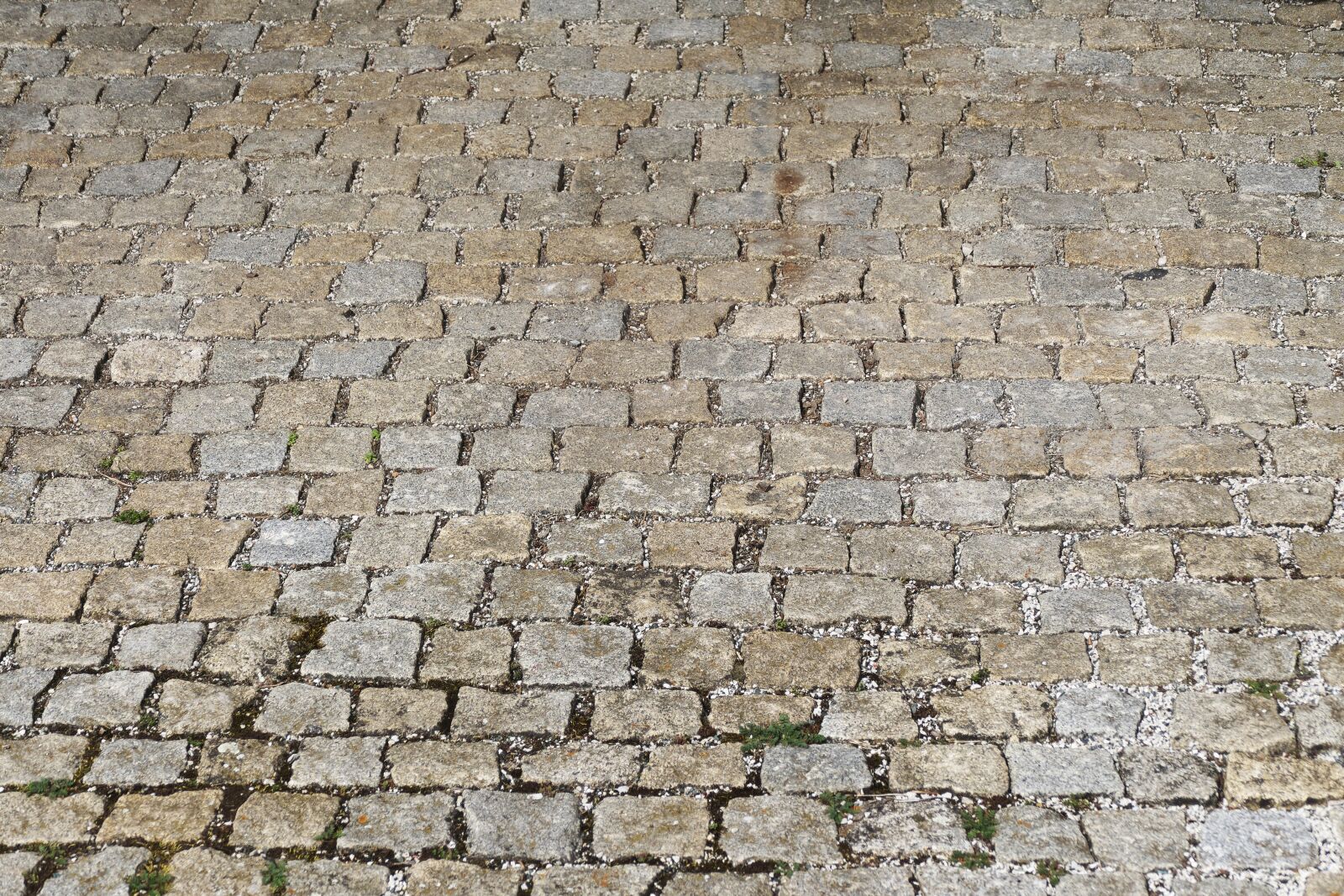Panasonic Lumix DMC-FZ1000 sample photo. Cobblestones, patch, paving stones photography