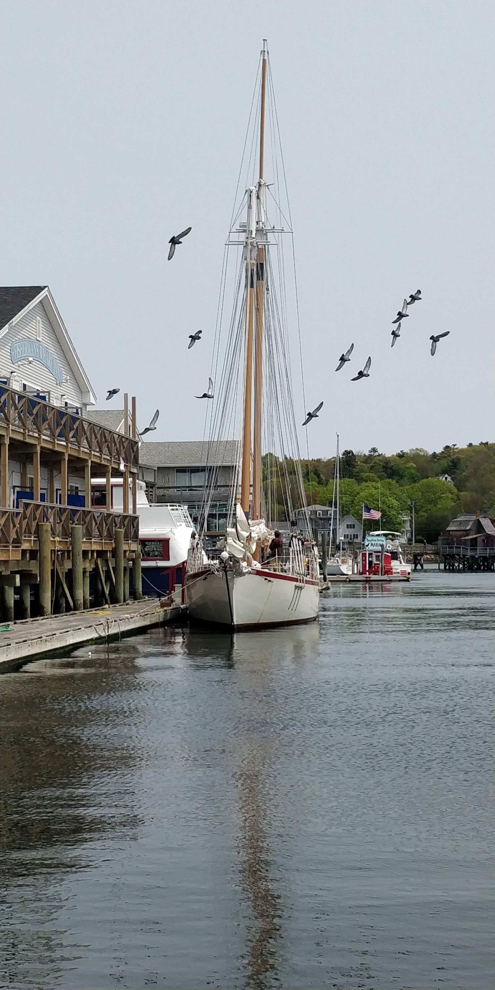 OnePlus 5T sample photo. Boothbay harbor, maine, vacation photography