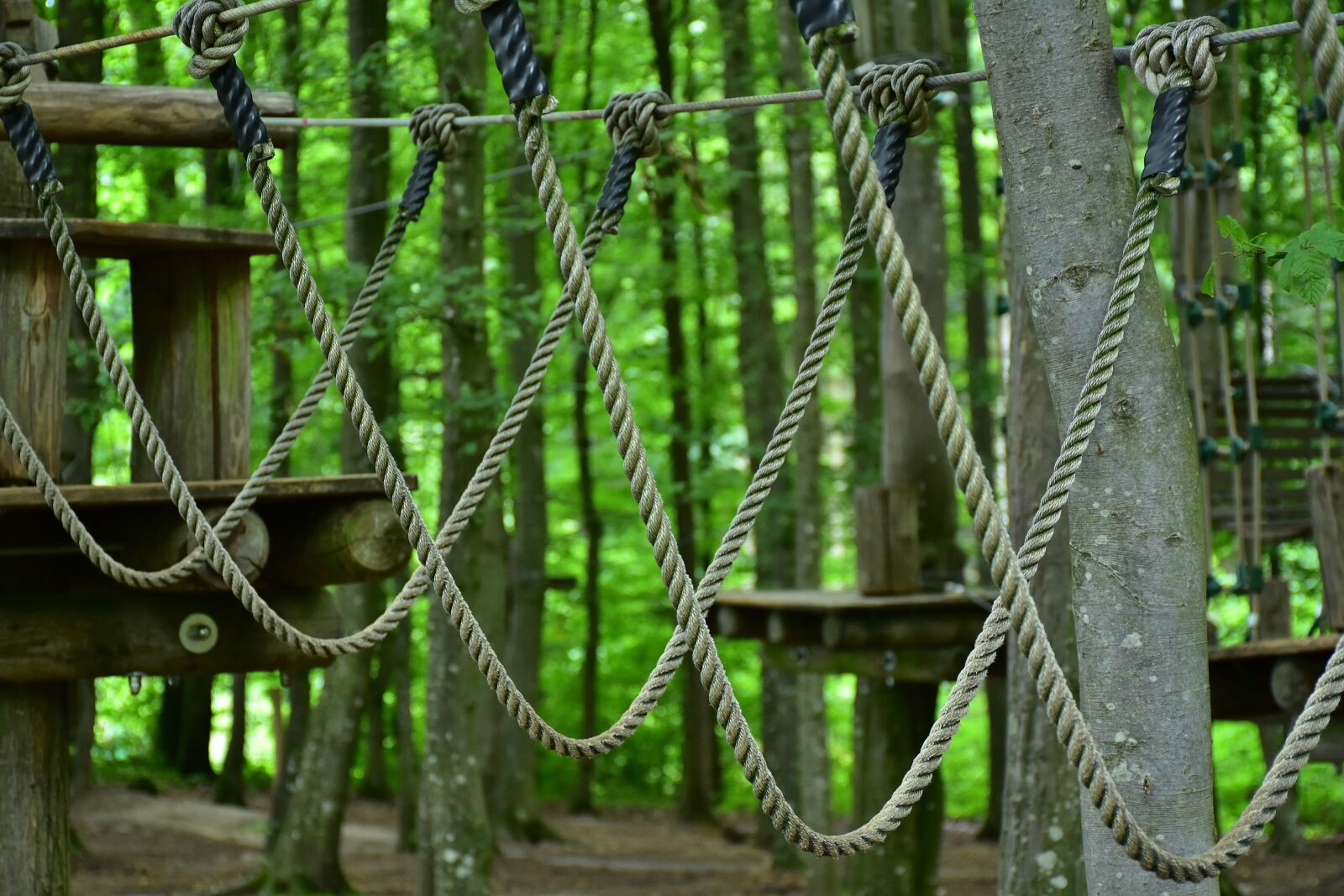 Nikon D7200 sample photo. Climb, high ropes course photography