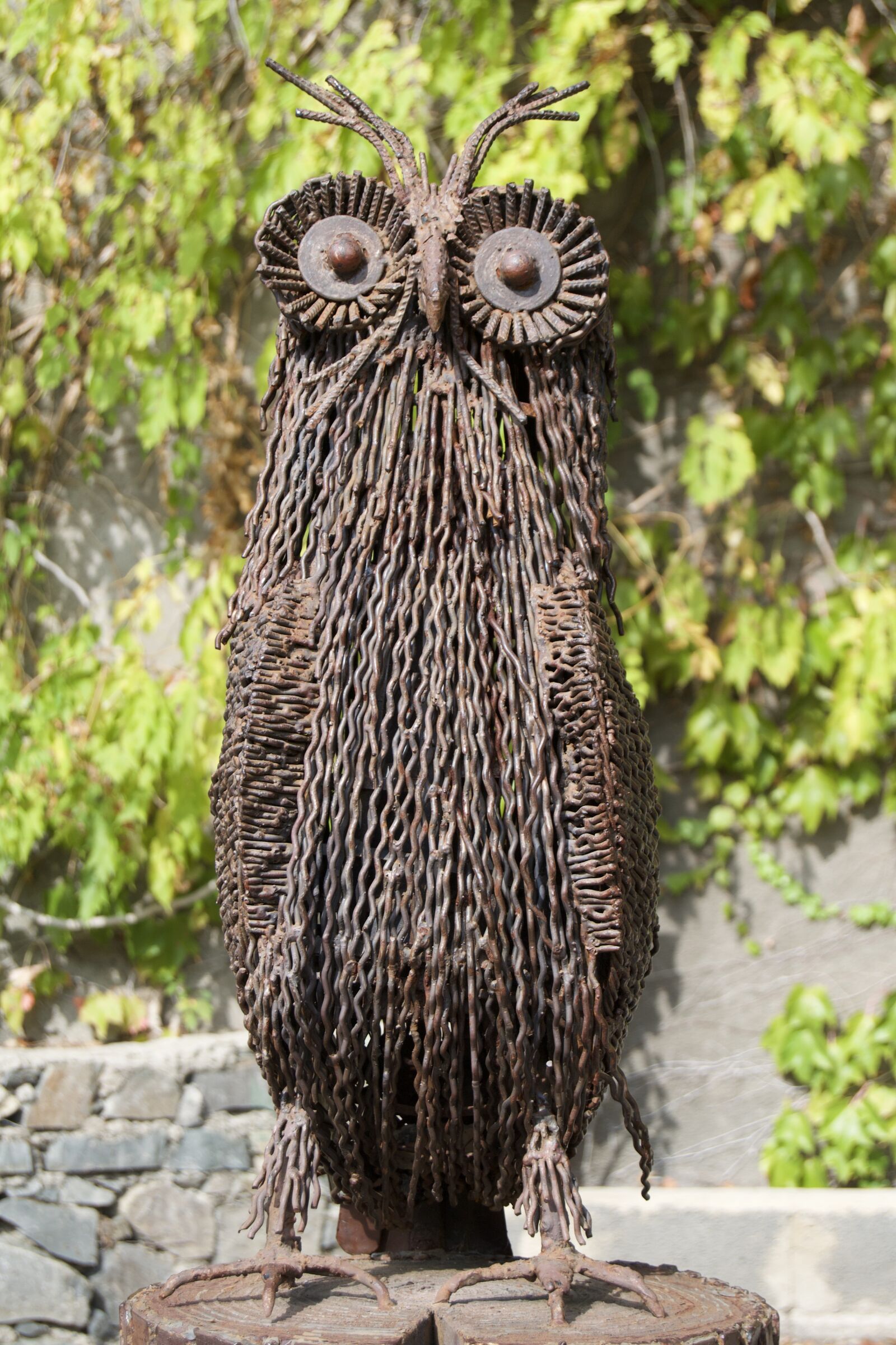 Nikon D3100 sample photo. Tbilisi, botanical garden, owl photography